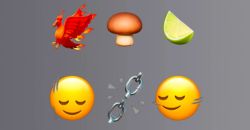 Le nuove emoji di iOS 17.4